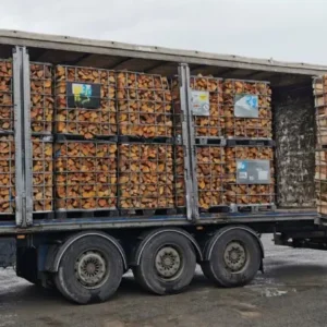 Beuken brandhout per vrachtwagen – kamergedroogd | Bois Frabot