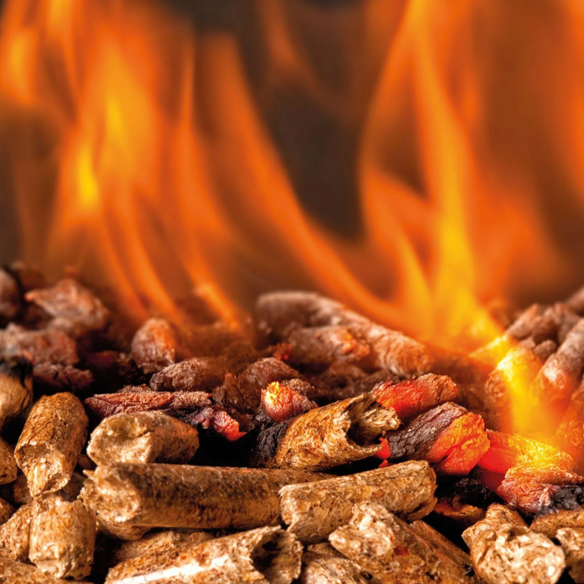 Houtpellets HEIZFUXX rood 975 kg (65 x 15 kg) – foto 2 | Bois Frabot