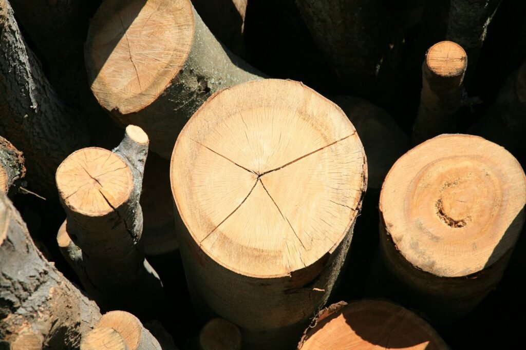 Stamhout per vrachtwagen – Bois Frabot