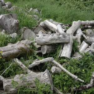 Stamhout – es | Bois Frabot