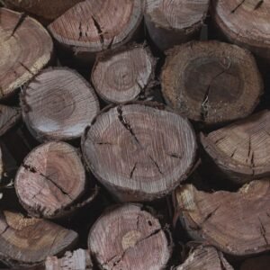 Stamhout – hardhoutmix | Bois Frabot