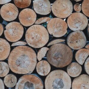 Stamhout – tamme kastanje | Bois Frabot